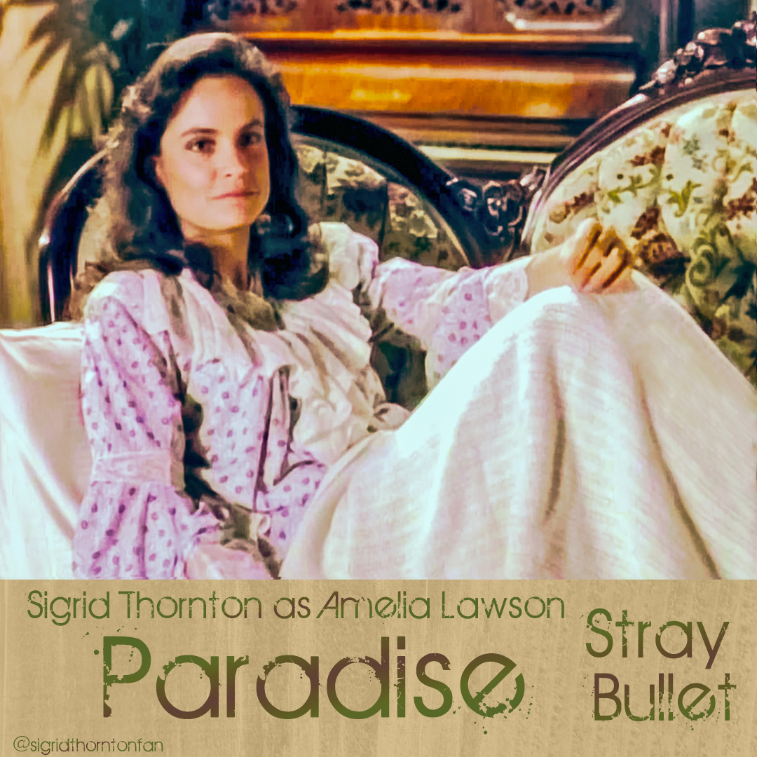 Paradise -Stray Bullet