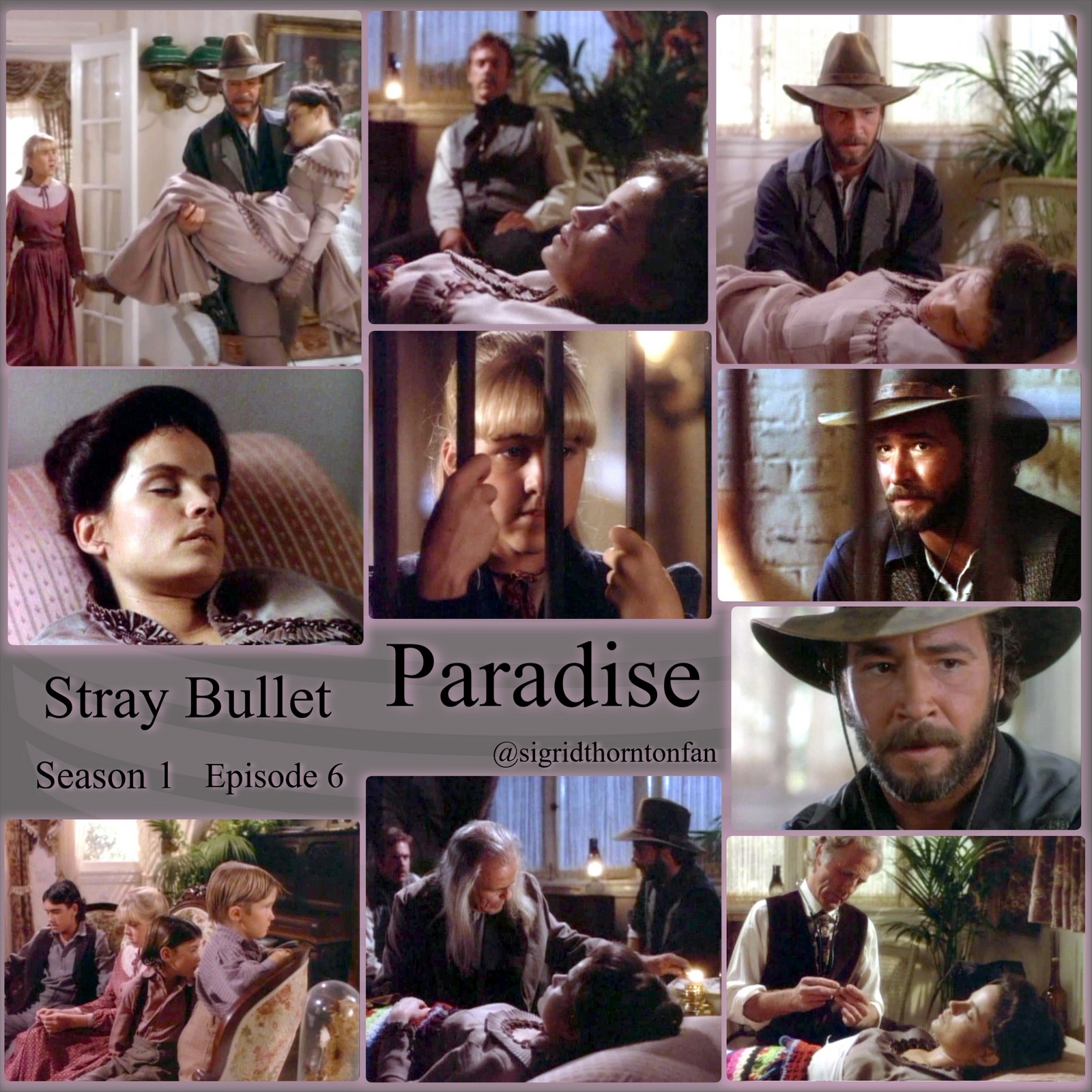 Paradise -Stray Bullet