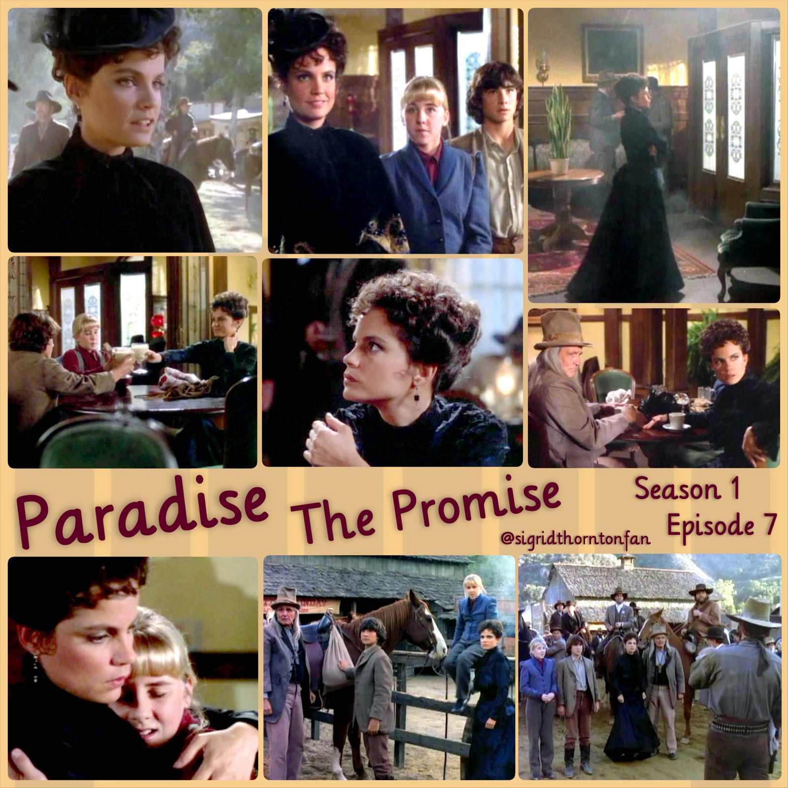 Paradise - The Promise