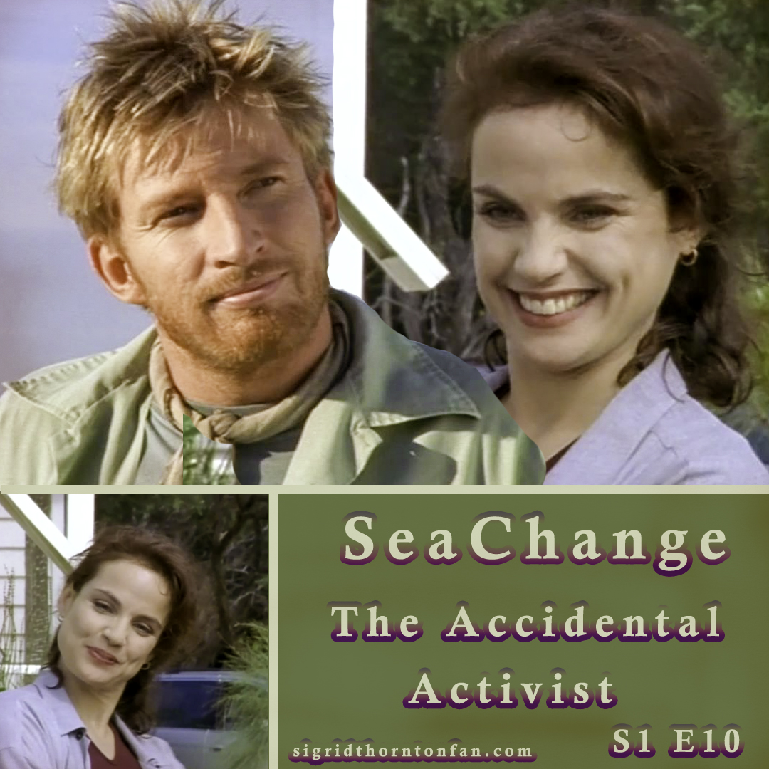 Seachange Sigrid Thornton David Wenham